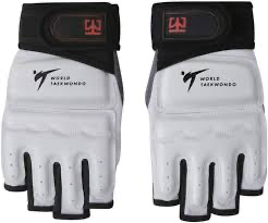 Gants de Taekwondo WT Professional