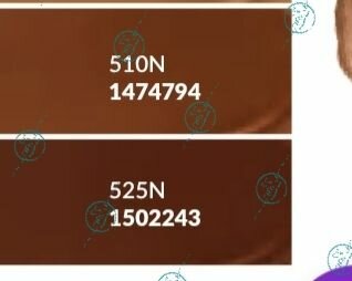 Color Trend Real Matte Foundation