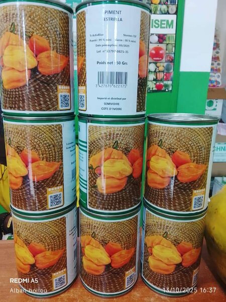 Semences de piments Big Sun