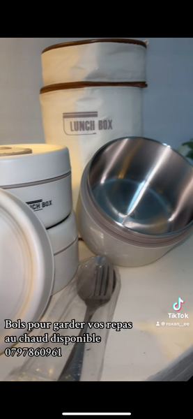 Boîtes Lunch Isothermes