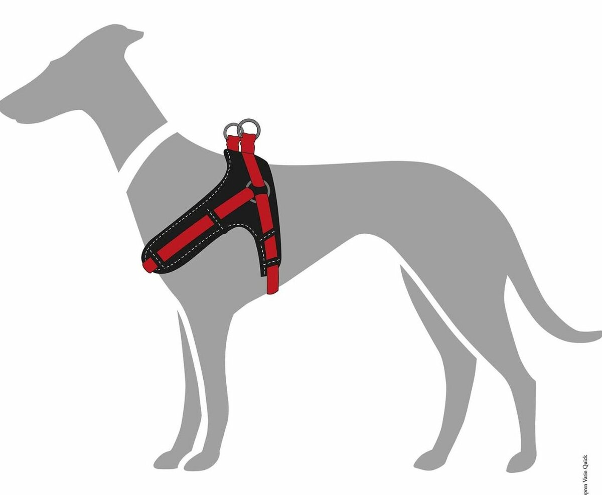 Harnais Pour Chien Réglable