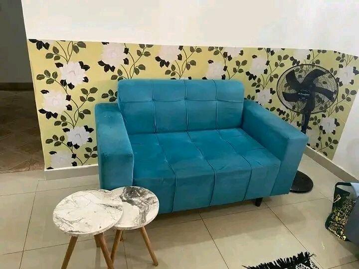 Canapé moderne en velours