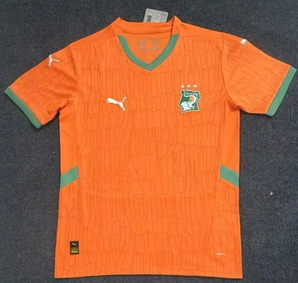 Maillot Côte d'Ivoire Puma