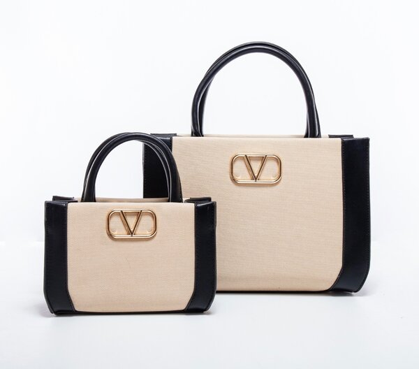 2 in 1 LV bag