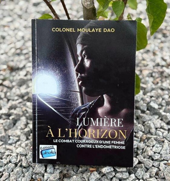 Lumière à l'Horizon - Roman