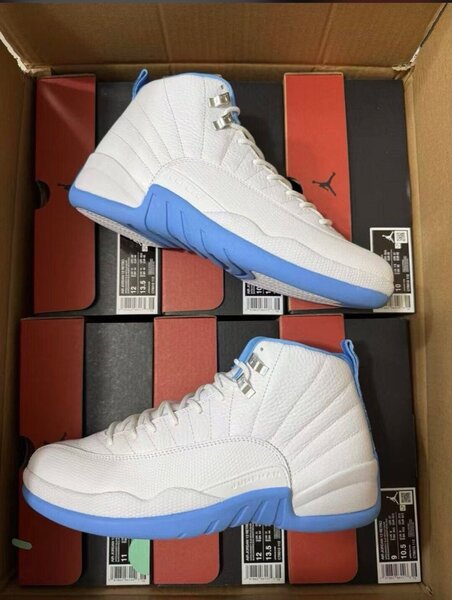 Air Jordan 12