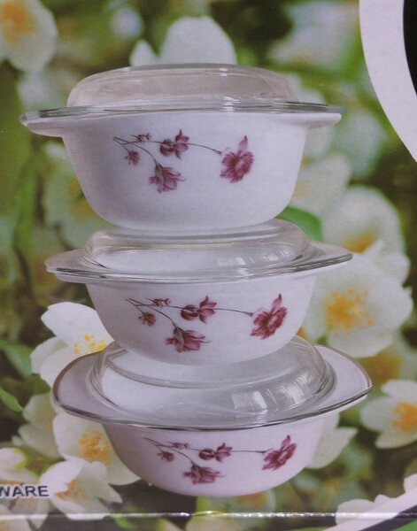 Bols en verre avec couvercles