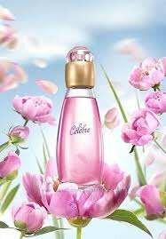 Celebre Avon для нее- парфюмерно-косметического набор