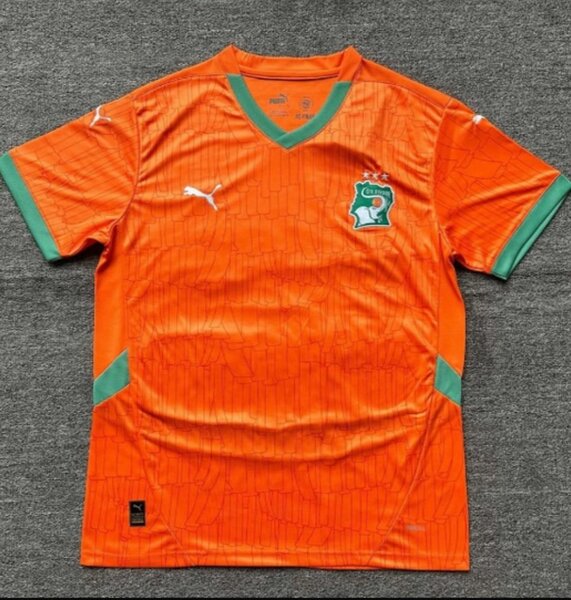 Maillot Éléphants version pro