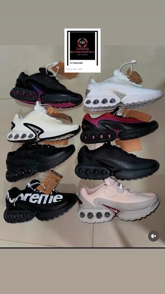 Basket Nike air Max DN authentique avec sa boîte