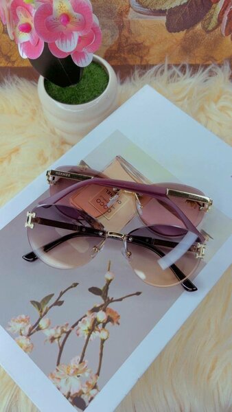 Lunettes de soleil élégantes