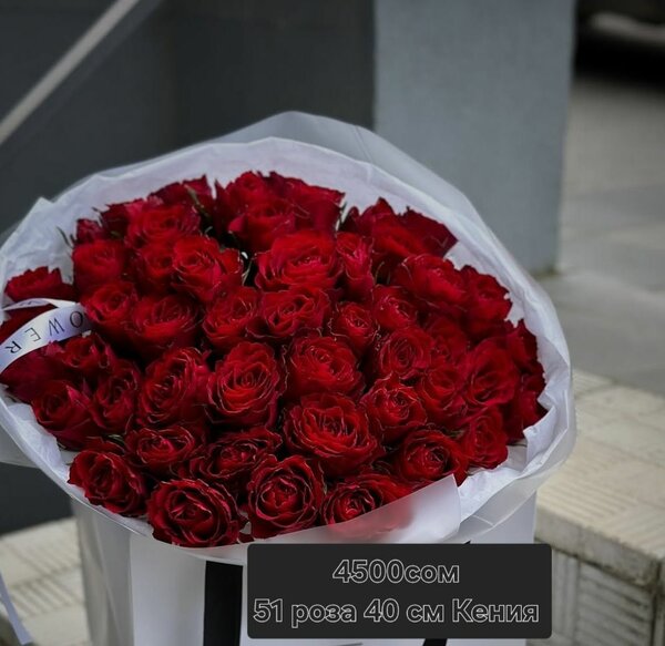 51 роза   40 см Кения