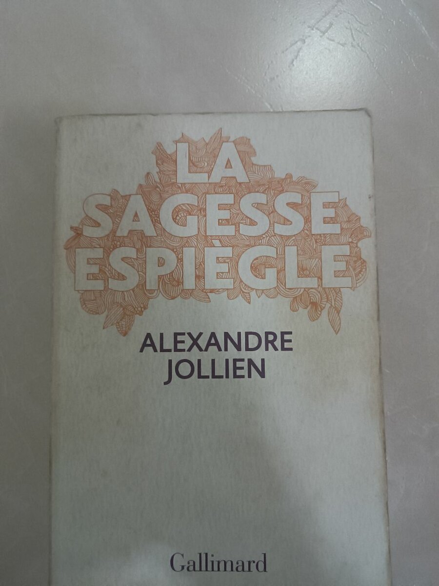 La Sagesse Espiègle - Livre