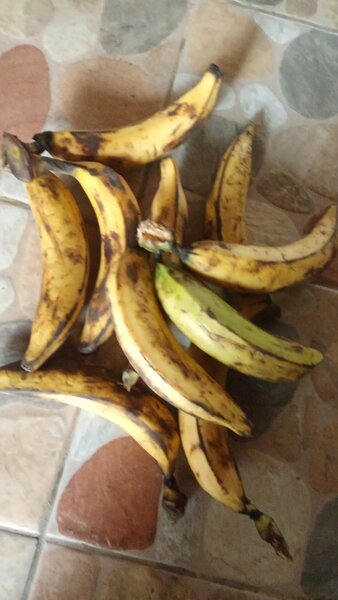 Bananes plantain