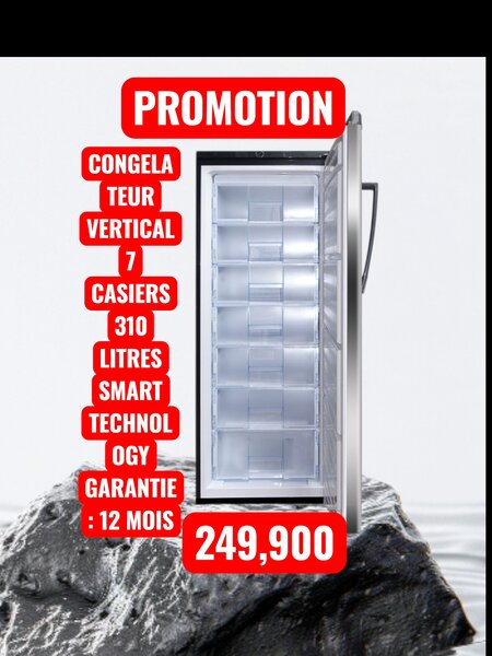 Congélateur Vertical 310L
