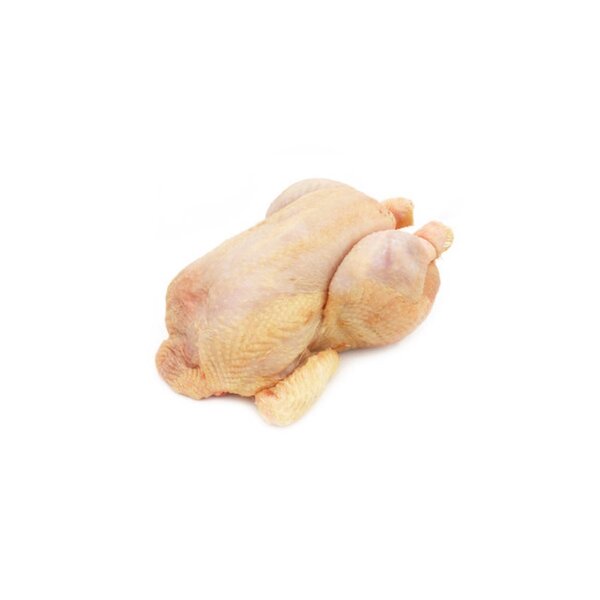 Poulet chair halal 1,3-1,5 kg