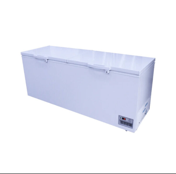 Congélateur Coffre Grande Capacité