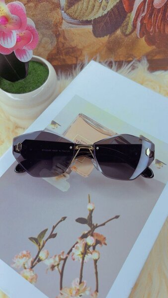 Lunettes de soleil élégantes