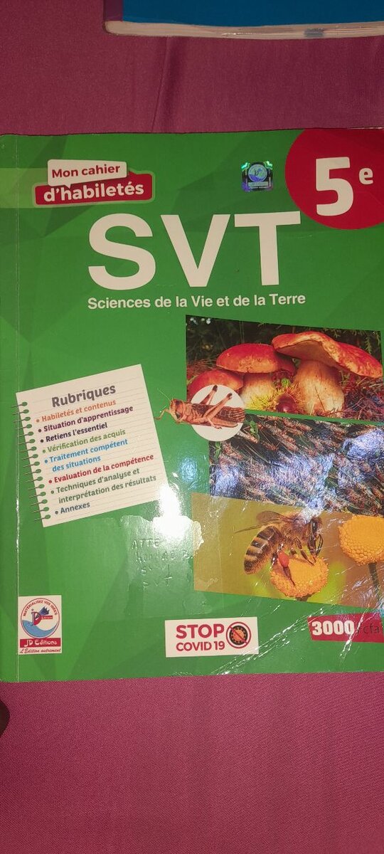 Manuels scolaires pour 5e