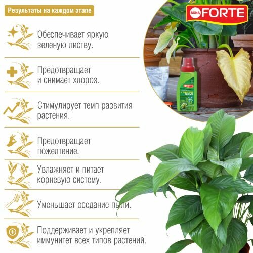 Средство 4 в 1 от пожелтения листьев, 285 мл