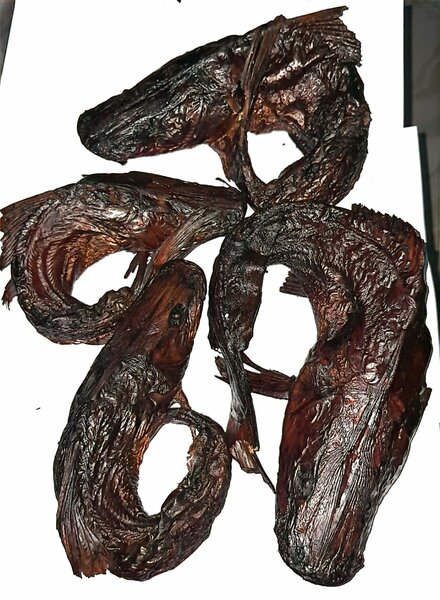 Fresh and Smoked Fishes