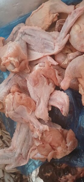 Ail de Dindon bien fraît