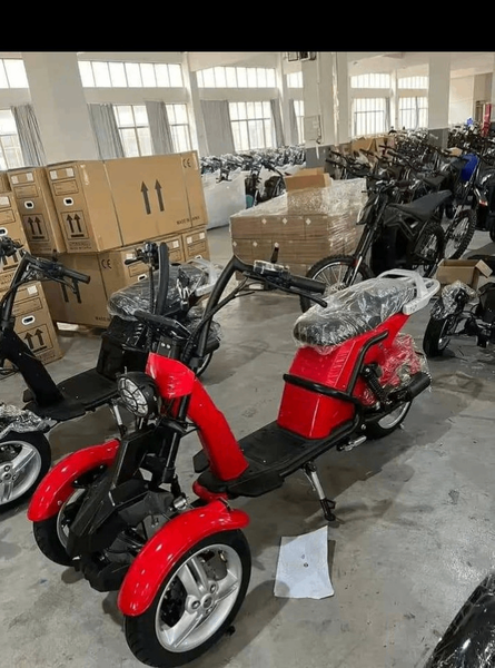 Tricycle électrique moderne