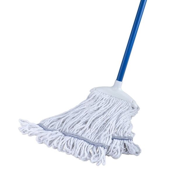 Absorbent mop