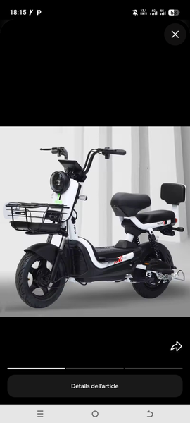 Trottinette électrique adulte