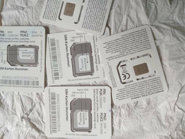 Puce Roaming Allemagne