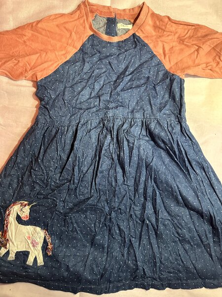 Girl dress (Thrift)
