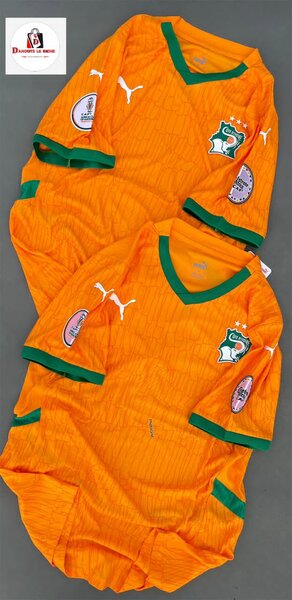 Nouveau maillot elephant