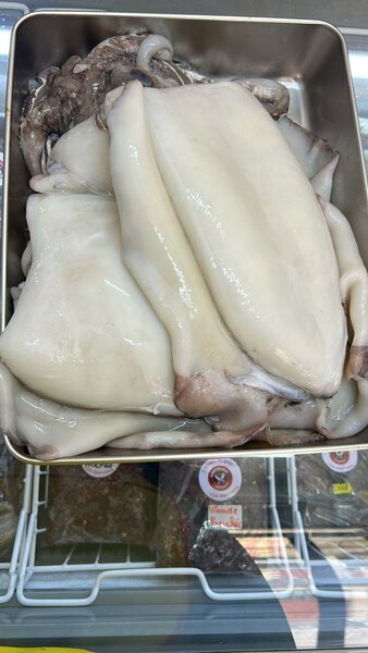 Calamars frais