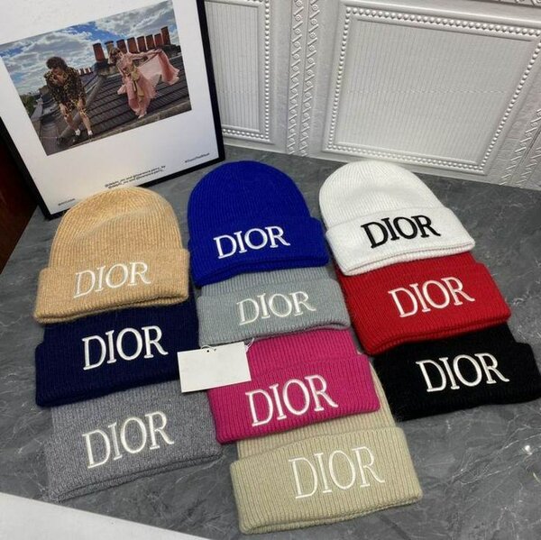 Winter Beanie DIOR