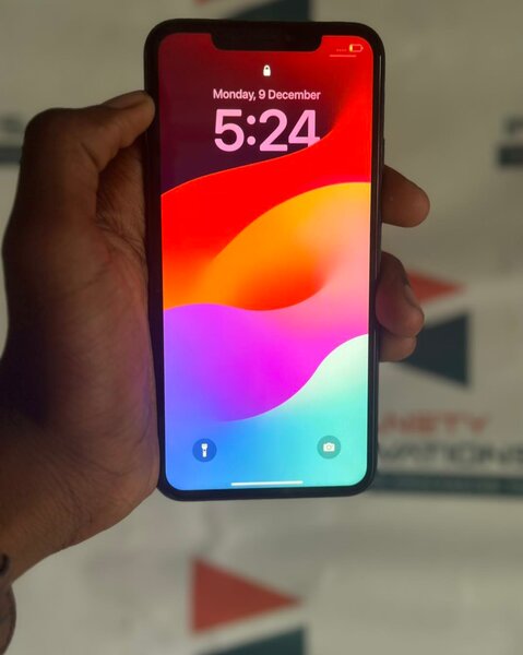 Preowned 11 ProMax 256GB