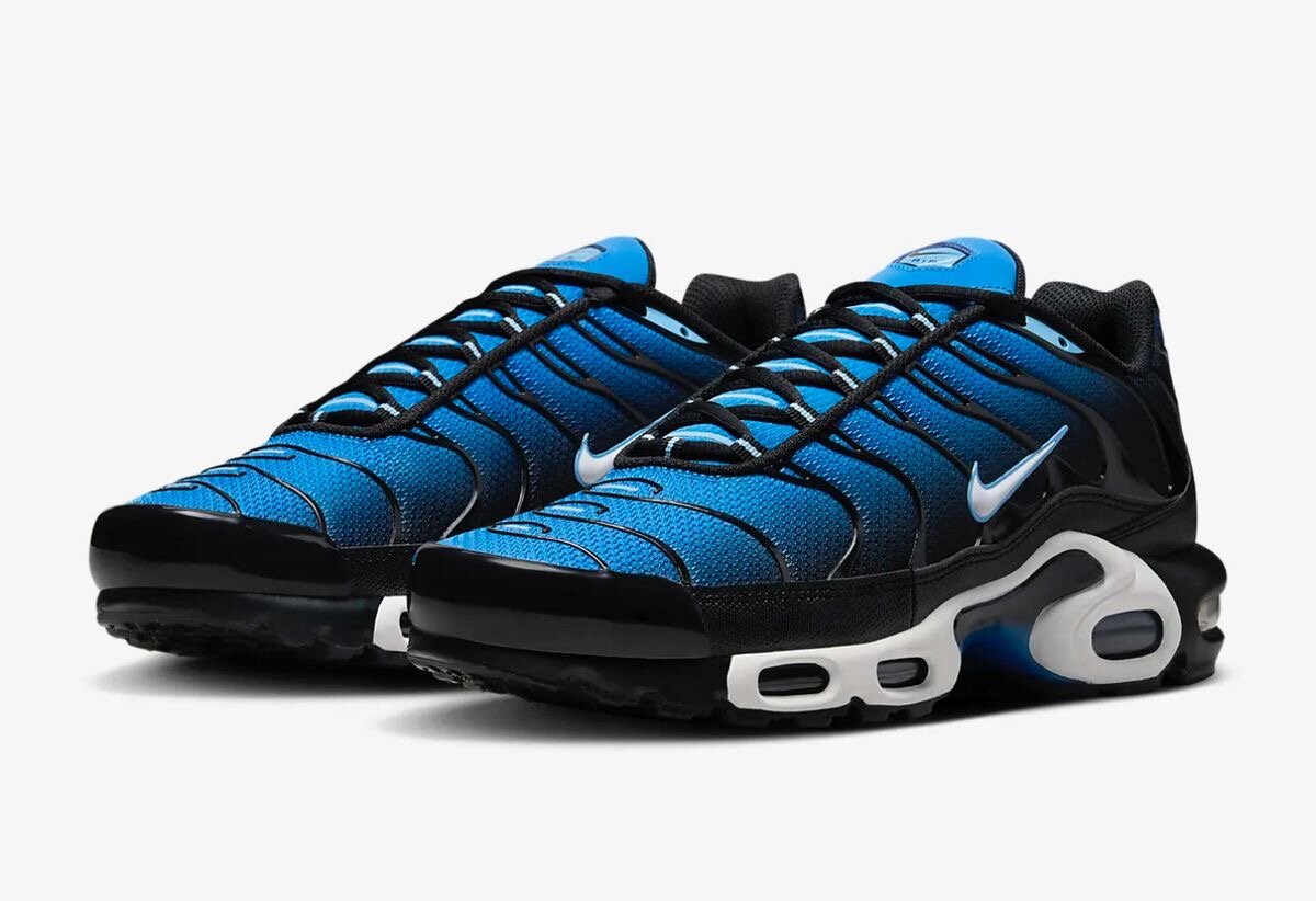 Nike Tn Air Max bleues