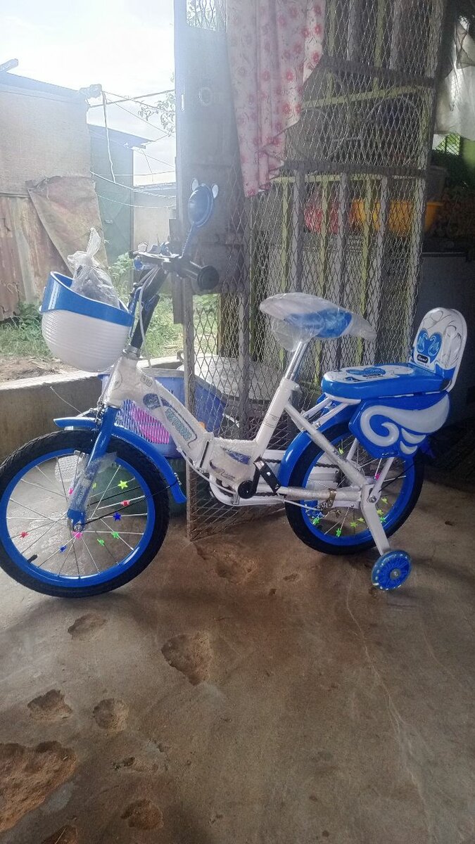 Vélo Enfant avec Stabilisateurs