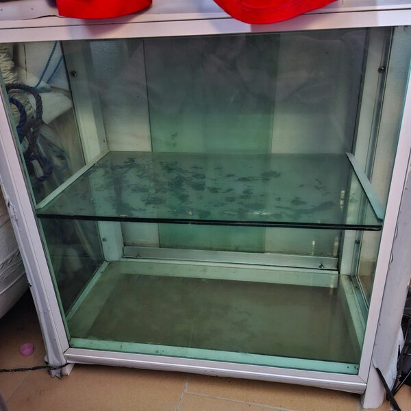 Vitrine en verre robuste