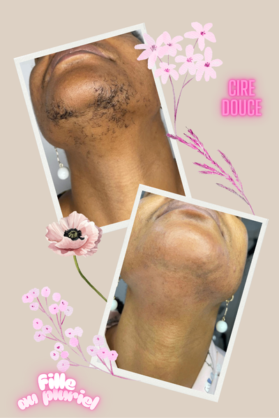 Chauffe-cire Pro-Wax100