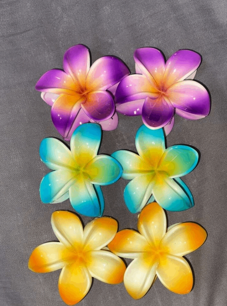 Fleurs Épingles Colorées