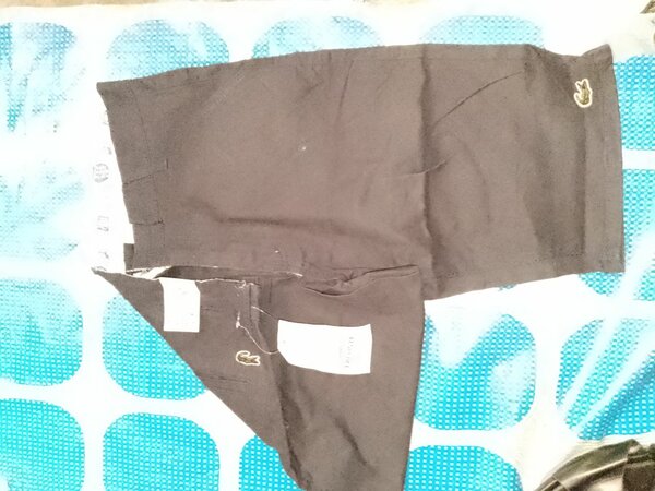 Shorts en coton élégants