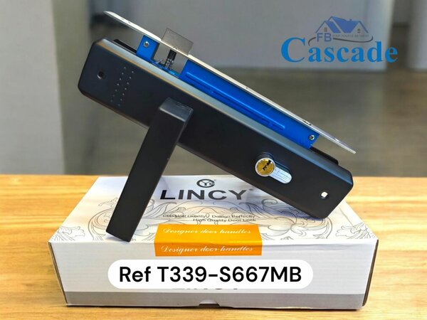 Serrure de Porte Moderne Lincy