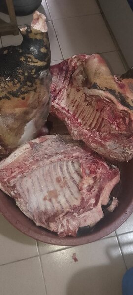 Viande de Porc Fraîche