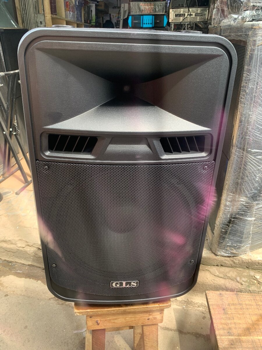 Enceinte Portable Puissante Pro