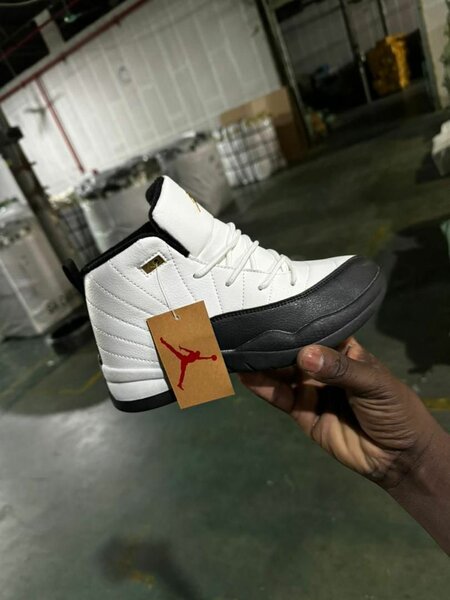 Air Jordan 12