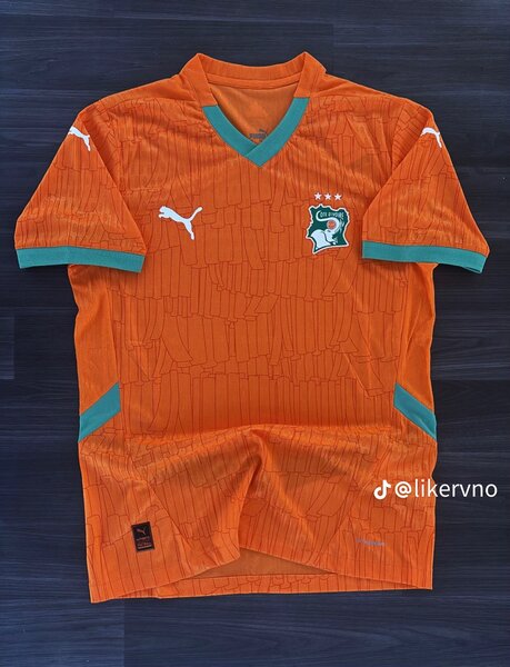 Maillot Côte d'Ivoire Puma