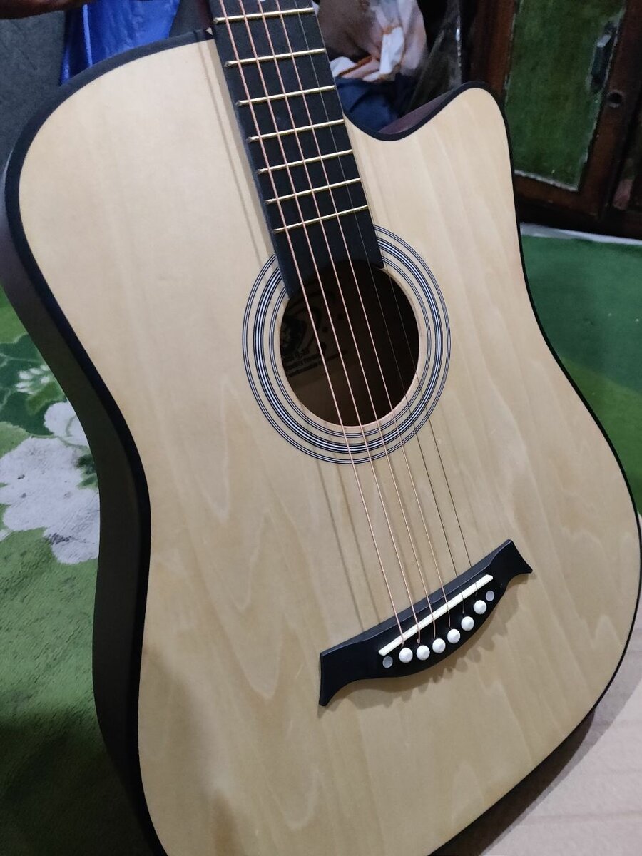 Acoustic Guitar