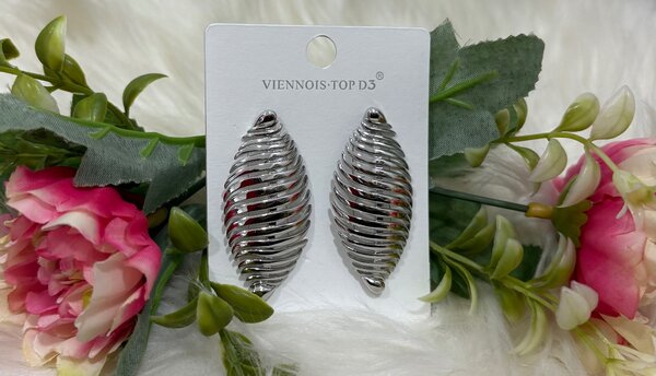 Boucles d'oreilles argentées