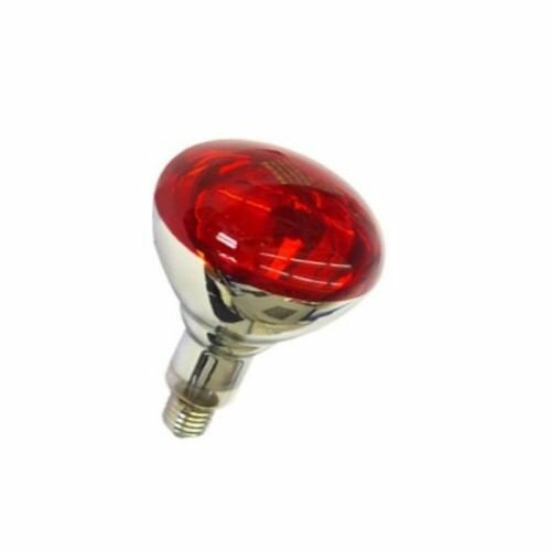 Ampoule De Chauffage Fermes - 800 Poussins 200w