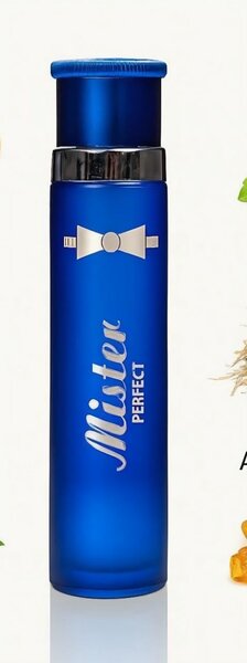 Parfum homme Mister Perfect